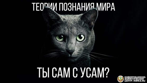 ГП — люди, или функция
