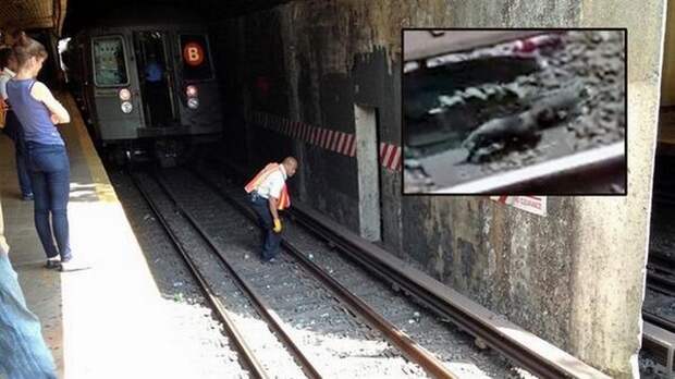 Спасение котят в метро Спасение котят в метро