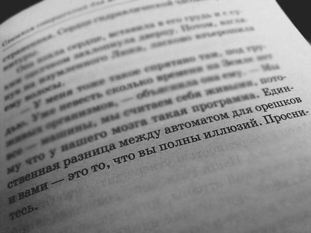 Прикольные картинки Прикольные картинки