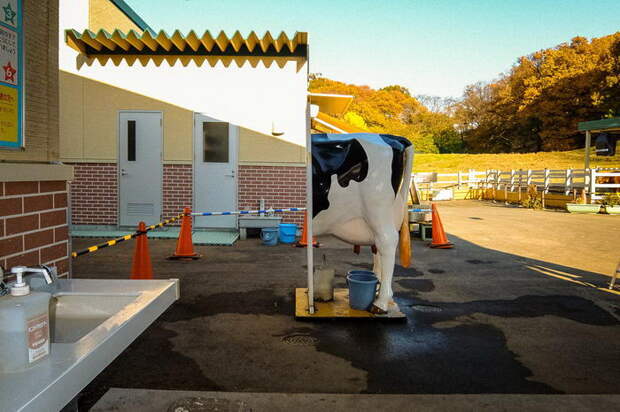 Стрит-фотография Shin Noguchi Стрит-фотография Shin Noguchi