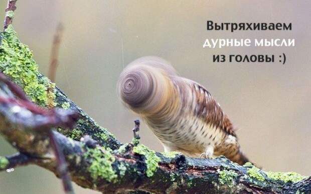 Аткрыточки