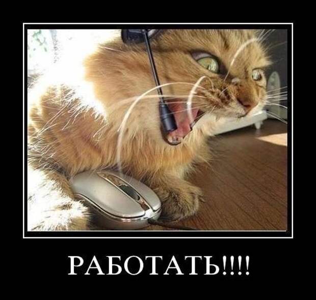 Всяко - разно 14 ))) Всяко - разно 14 )))