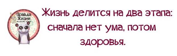 Жизнь делится на 2 этапа сначала нет ума потом здоровья. Жизнь делится на до и после цитаты. Картинка жизнь делится на два этапа. Полиглотка юмор. Нулевые приколюшки.
