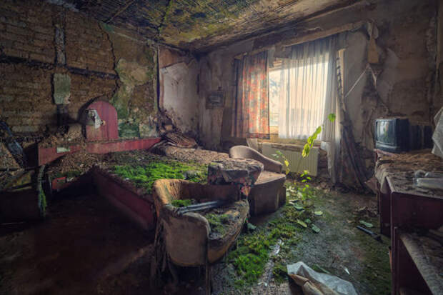 20 примеров, где природа победила цивилизацию