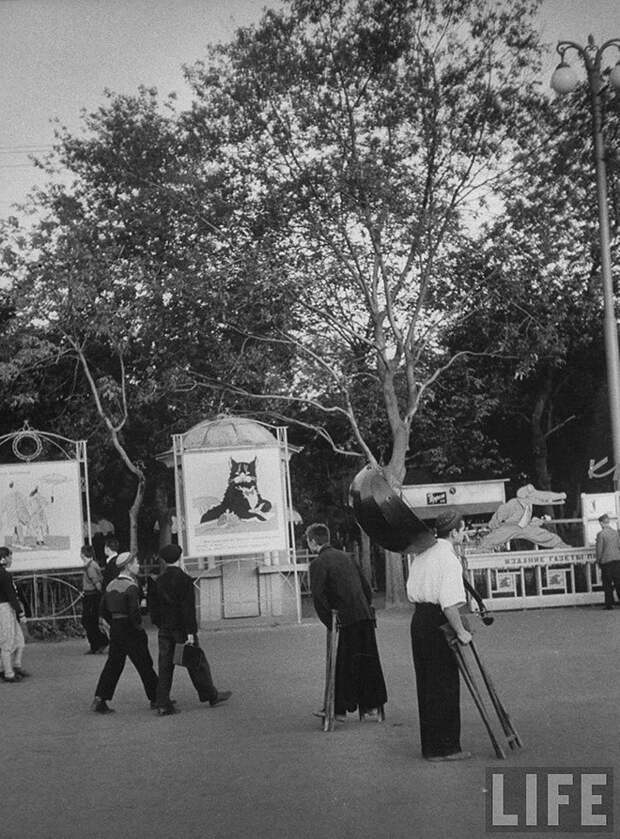 ByLarsen33 Москвички в 1956 году