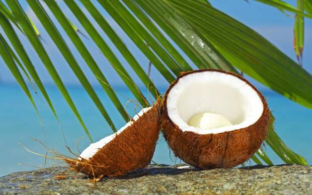 coconut07 10 удивительных фактов о кокосах