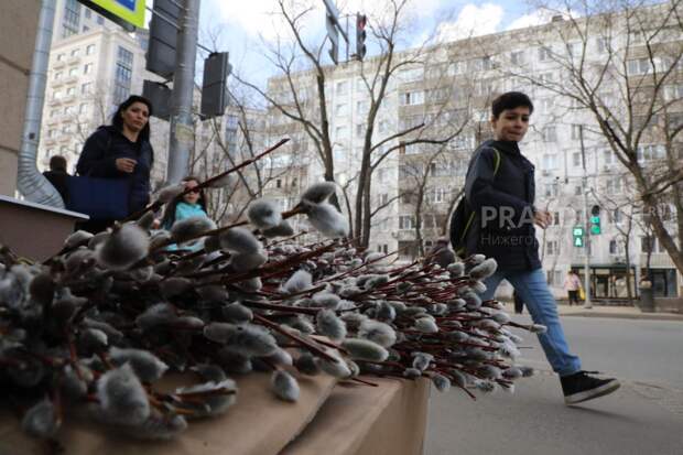 Священник рассказал, что делать с ветками вербы после Вербного воскресенья