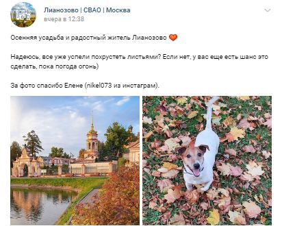 Похолодание не повлияло на режим прогулок собак в Лианозове