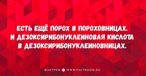 15 открыток с налётом сарказма от настоящих грамотеев