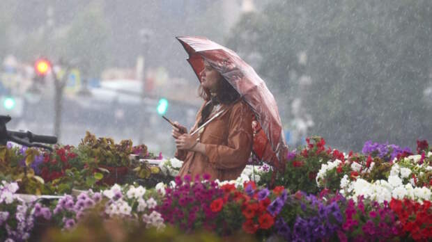 Более трети месячной нормы осадков выпало в столичном регионе за день