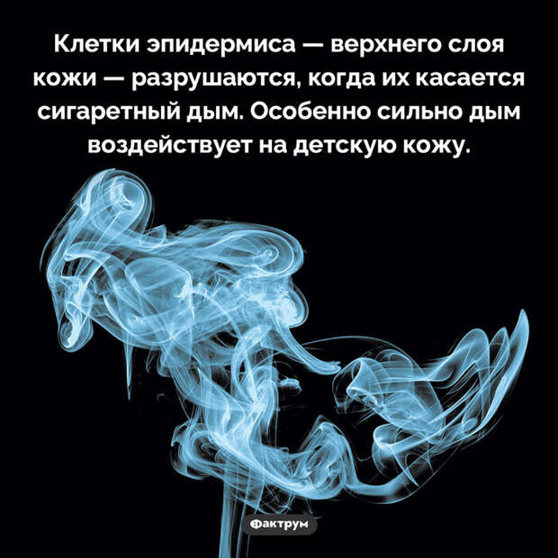 Подборка интересных фактов № 81 Познавательно, Факты, Подборка, Картинка с текстом, Фактрум, Длиннопост
