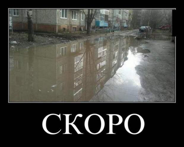 Немного новых демотиваторов