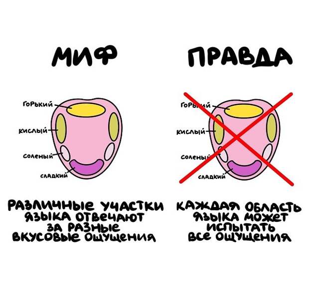 Интересные короткие факты на все случаи жизни