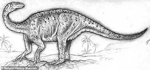В Китае нашли уникальный скелет гигантского динозавра
