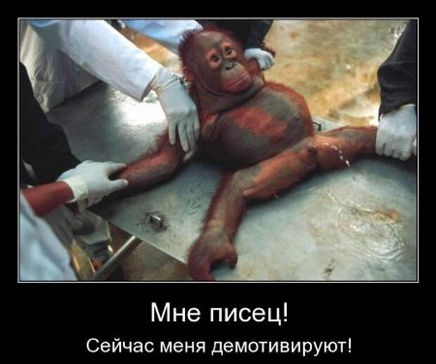 Демотиваторы,  разные но все прикольные.
