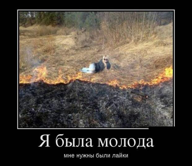 Демотиваторы демотиваторы, прикол, юмор