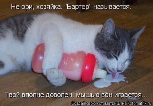 Новая котоматрица (39 фото)