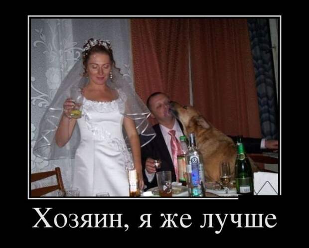 Демотиваторы (30 фото)