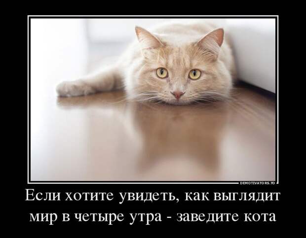 Свежие демотиваторы (20 шт)