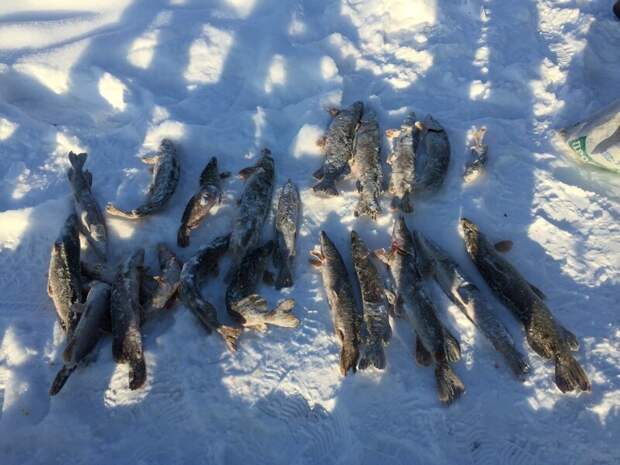 Рыбалка в сибири щучий омут такого не кто не ожидал-первый лёд 2019-2020