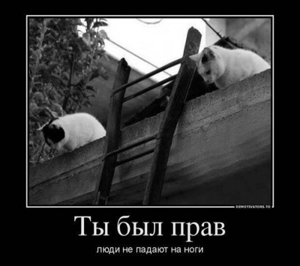 Большая порция прикольных демотиваторов (29 шт)