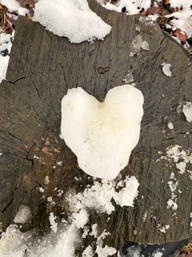 Жителей Ивановской области предупредили о гололеде и мокром снеге