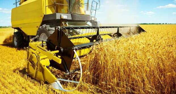 Пшеница — новая нефть России, — СМИ США