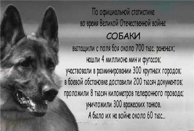 http://ic.pics.livejournal.com/stanyslavna/68594030/18157/18157_900.jpg