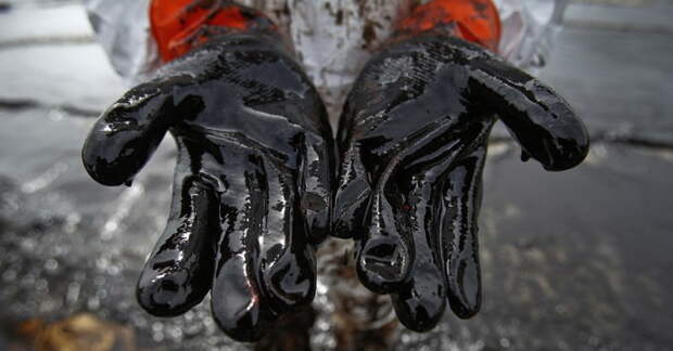 В Киеве заявили, что знают, как заставить Россию слить свою нефть в Балтику