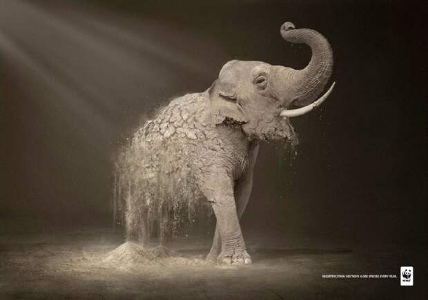 рекламные кампании о животных раскрывающие правду (13)
