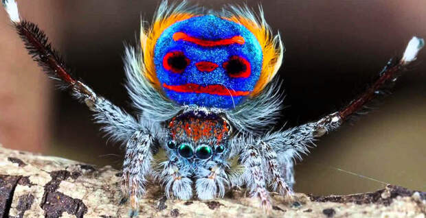 09f5b16132351ebc556388efbc830890