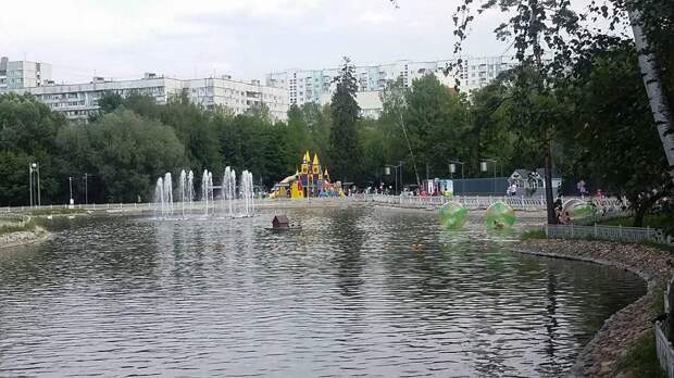 Водоем/ Фото Ларисы Борцовой