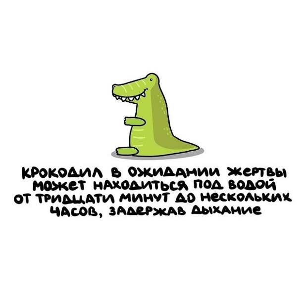 Интересные короткие факты на все случаи жизни