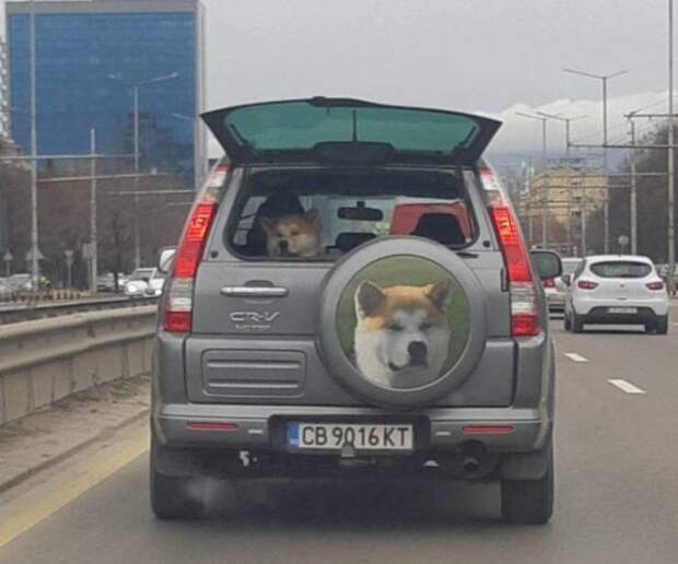 Прикольные картинки абавсём:D