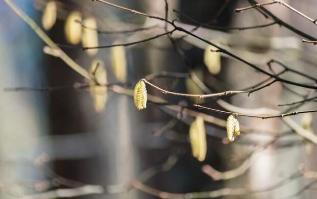 В комитете по природопользованию заявили, что качество воздуха в Петербурге находится в норме 28 марта