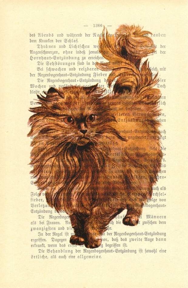 принты на книжных страницах (53) (458x700, 278Kb)