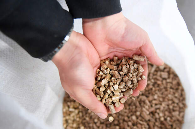 Польша столкнулась с нехваткой пеллет из-за аномальных морозов