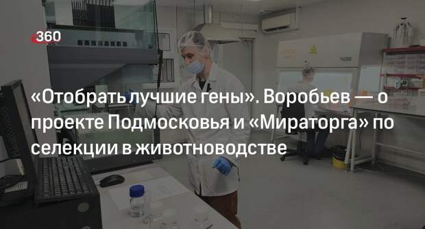 Воробьев рассказал о сотрудничестве Подмосковья с компанией «Мираторг»