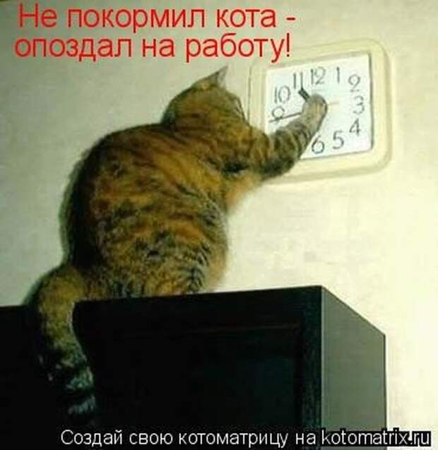 Мысли вслух :)