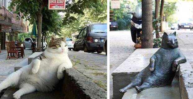 cat-sculpture-tombili-istanbul.jpg cat-sculpture-tombili-istanbul.jpg
