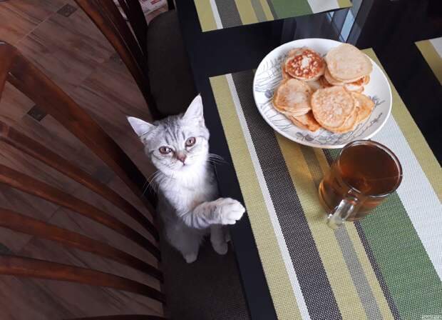 "Человек, ты куда? Мы с тобой!" Заряжаемся позитивом