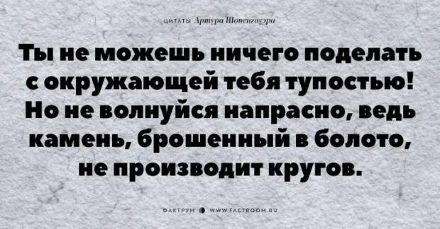 20 незабываемых цитат «философа пессимизма» Артура Шопенгауэра