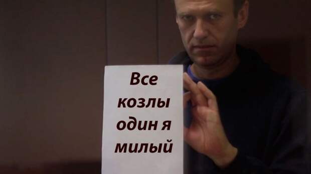 Прокурор запросил для Навального громадный штраф и срок