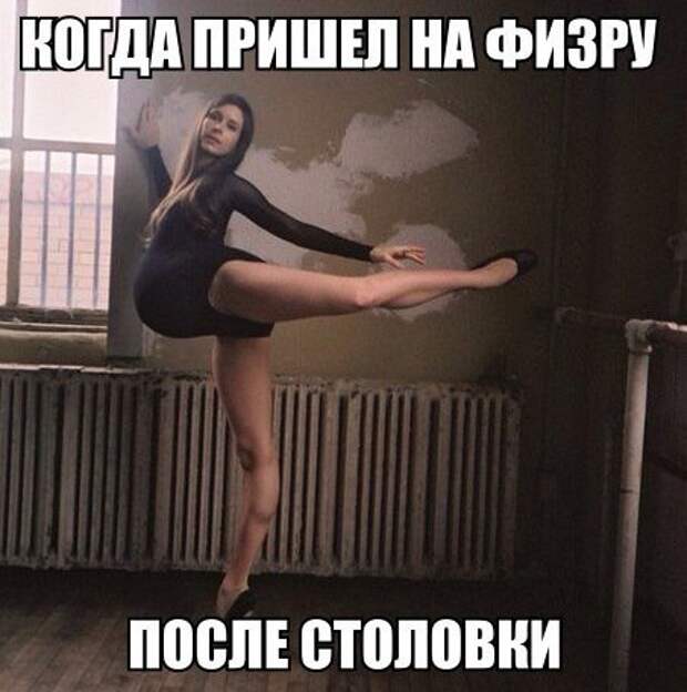 Смешные картинки с надписям