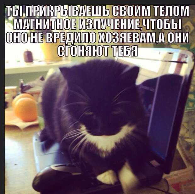 Прикольные картинки Прикольные картинки