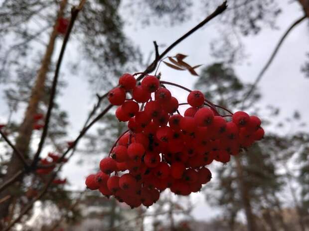 Жителей Забайкалья ждет прохладная погода на выходных