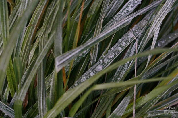 Татарстанда атна ахырына кадәр салкын һава торышы саклана