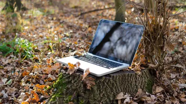 Киев устроил «Крымскую блокаду» в освобожденных регионах юга Украины