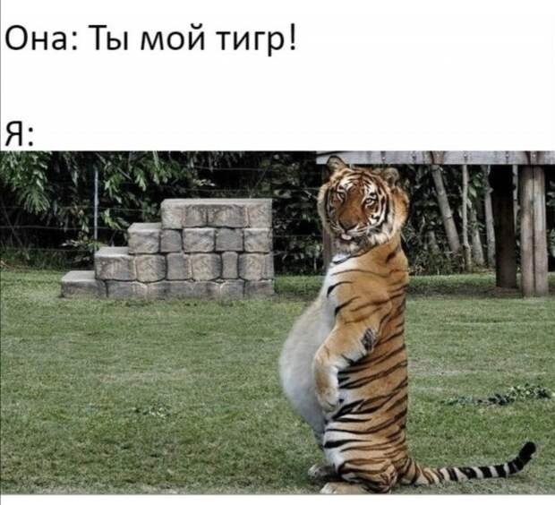 www.vsyako.net