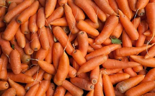 Не спешите убирать – 7 овощей, которым осенние холода на пользу